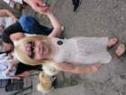 dsc03670_small.jpg